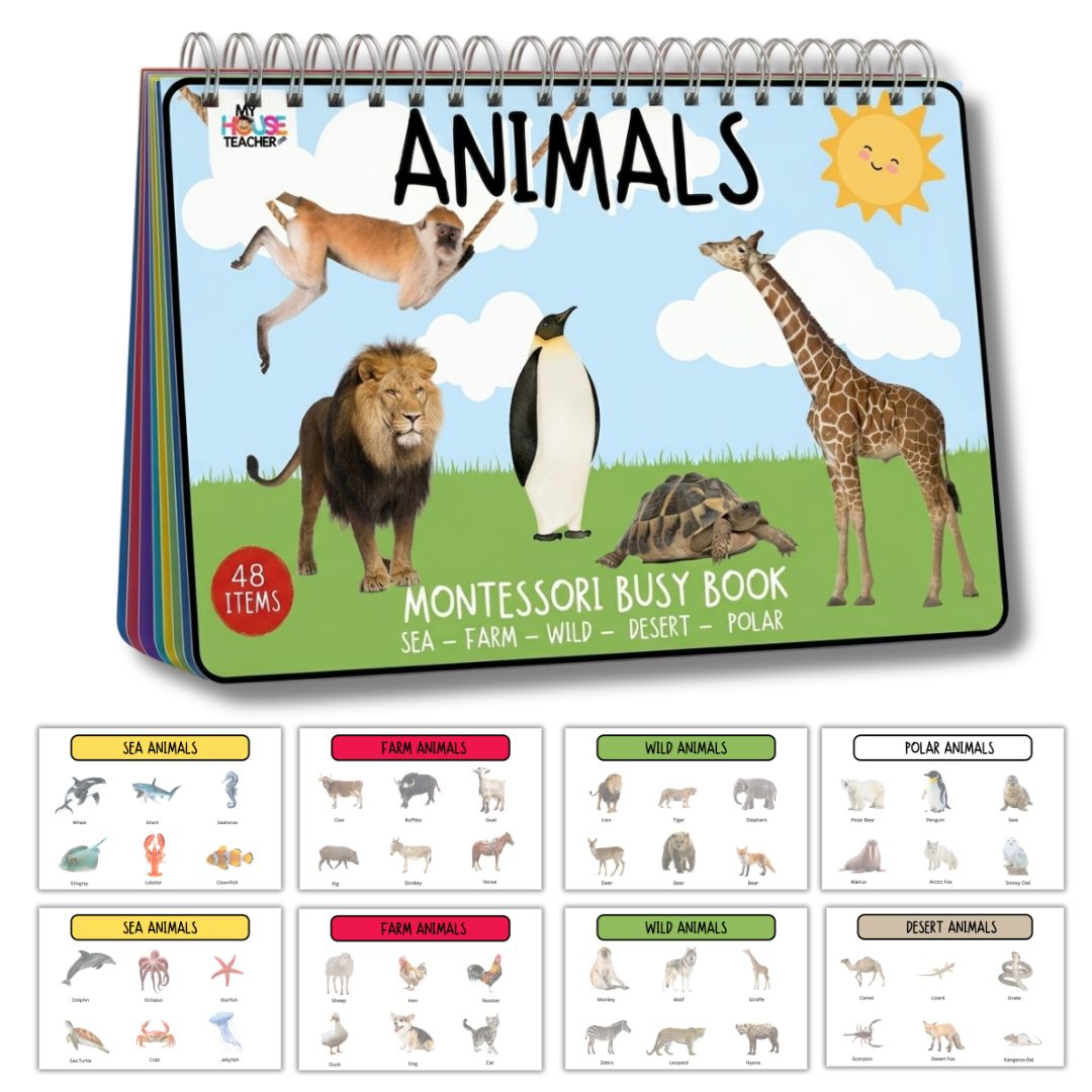 Animals Busy Book – My House Teacher