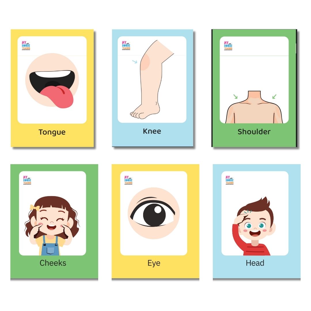 Body Part Flashcards
