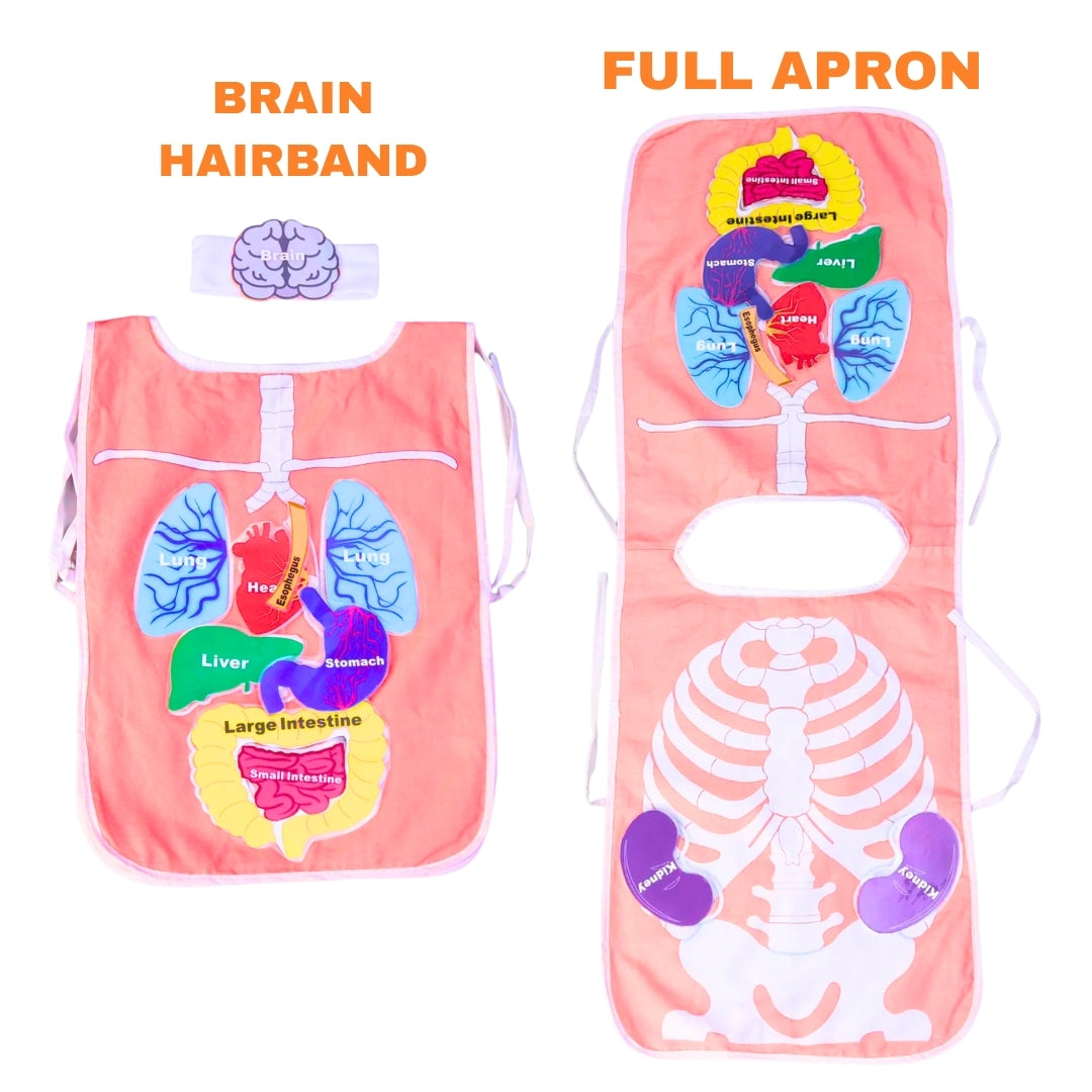 What's Inside My Body Apron Activity Pack