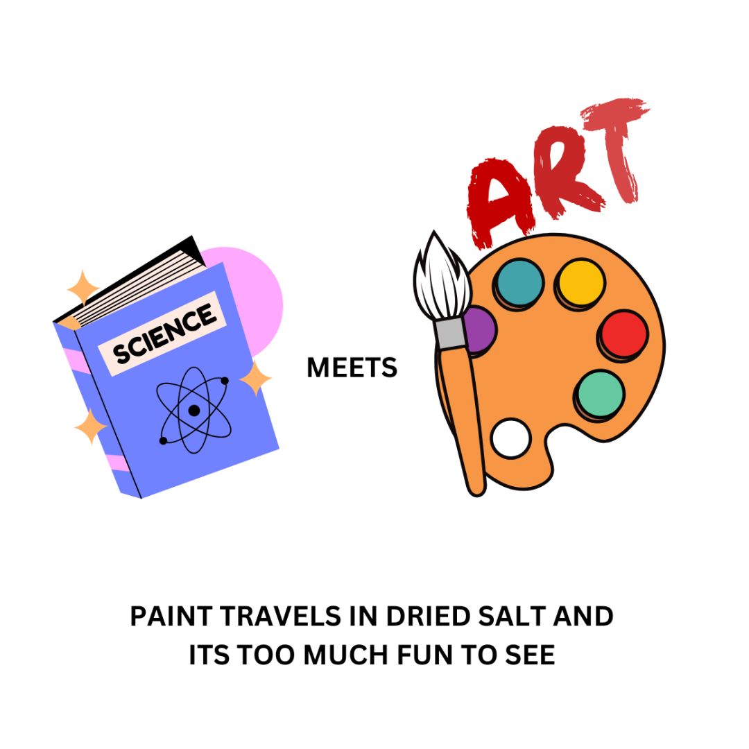 DIY Salt Painting Activity Box- Pack Of 5