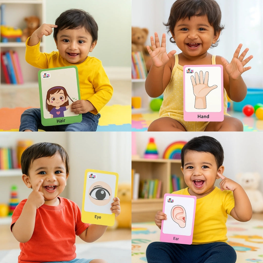 Body Part Flashcards