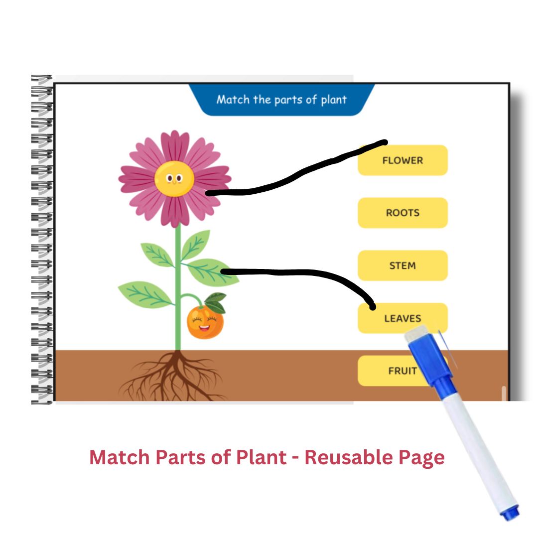 My GK Binder Book - 6 concepts in 1 interactive activity book - Pack of 10