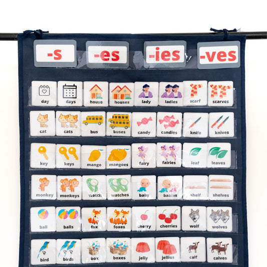 Singular Plural concept Pocket Chart (For Preschoolers )