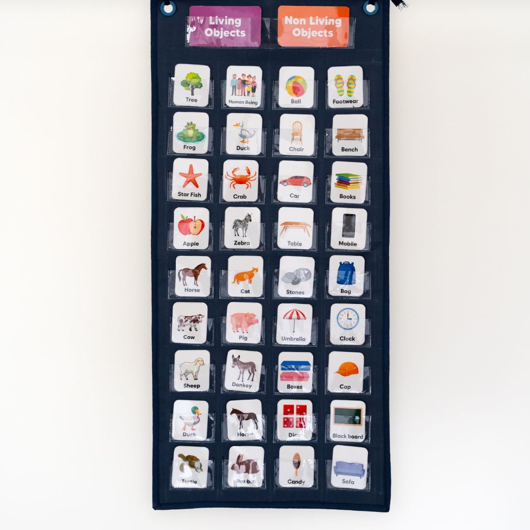 Living- Non Living Pocket Chart