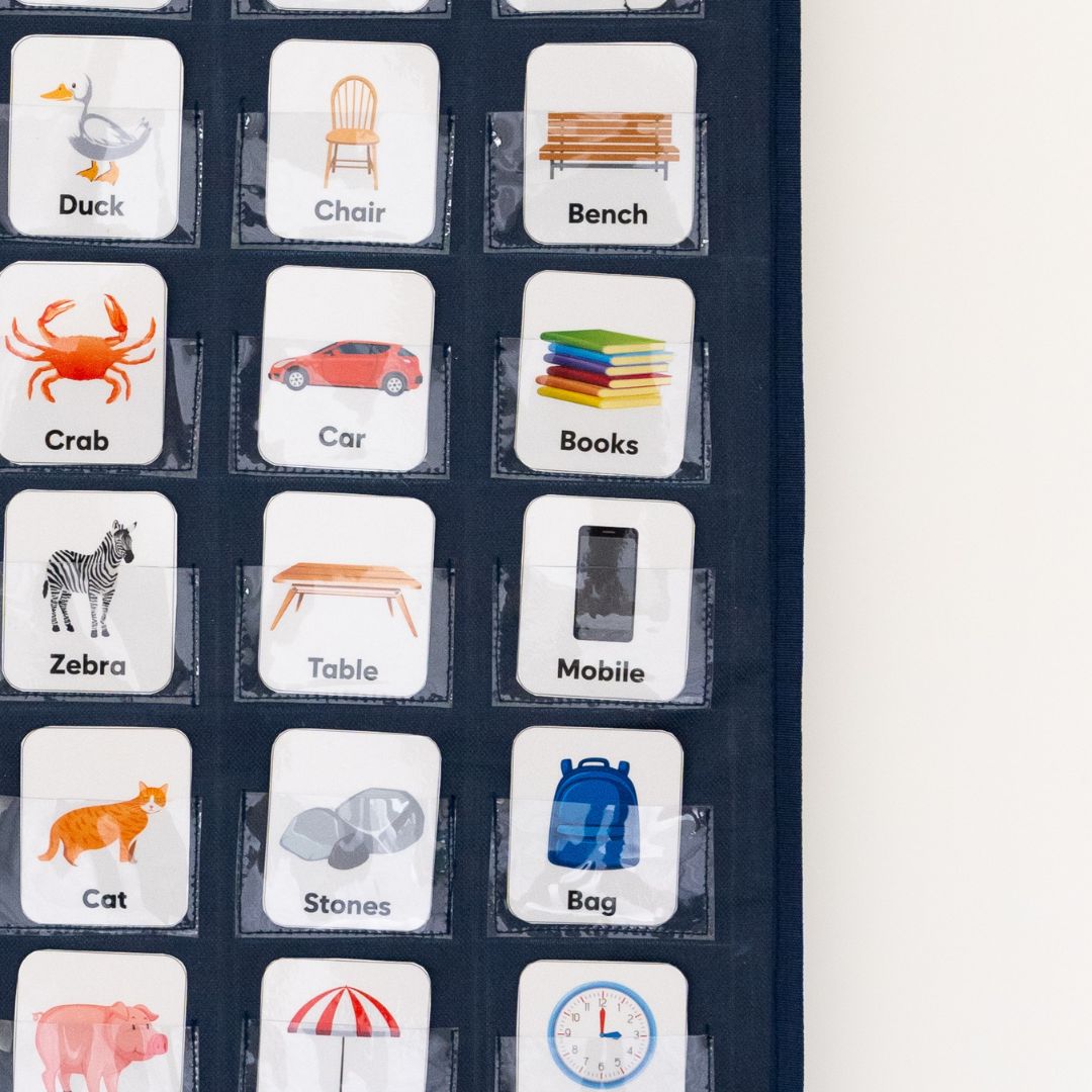 Living- Non Living Pocket Chart