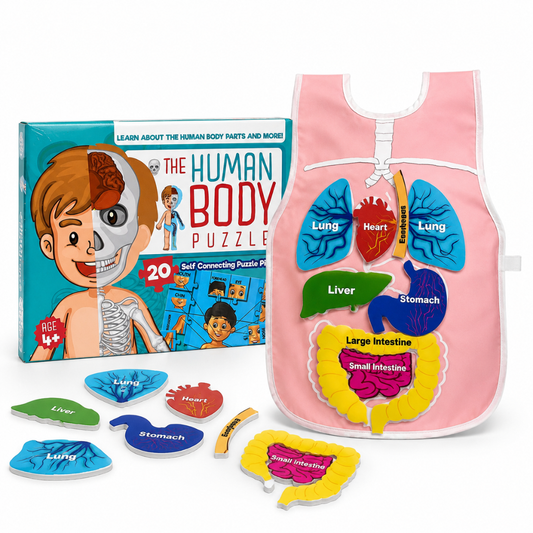 Human Body Learning Combo