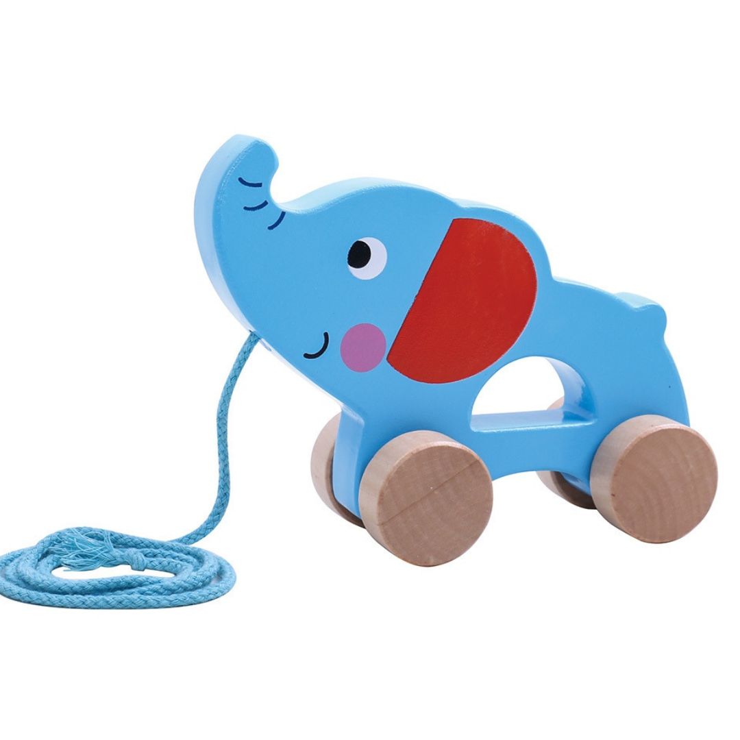 Wooden Push Pull Toy - Elephant