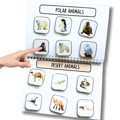 Animals Busy Book