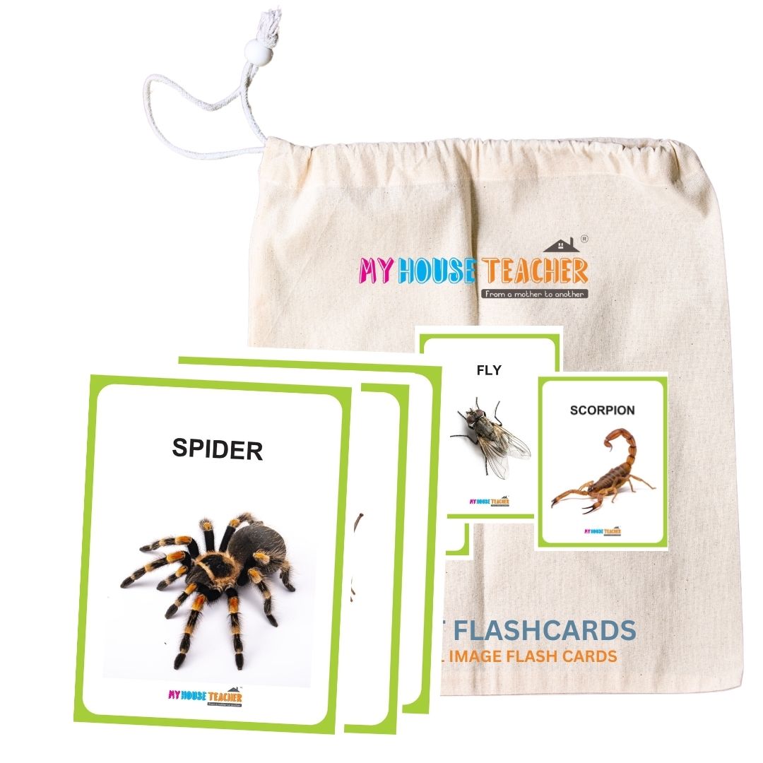 Premium Insects Flash Cards for Kids