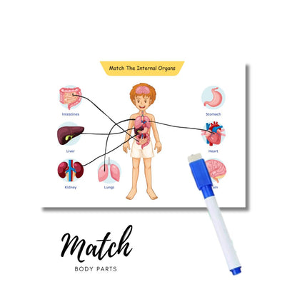 Human Body Activity Binder - 6 Years Above