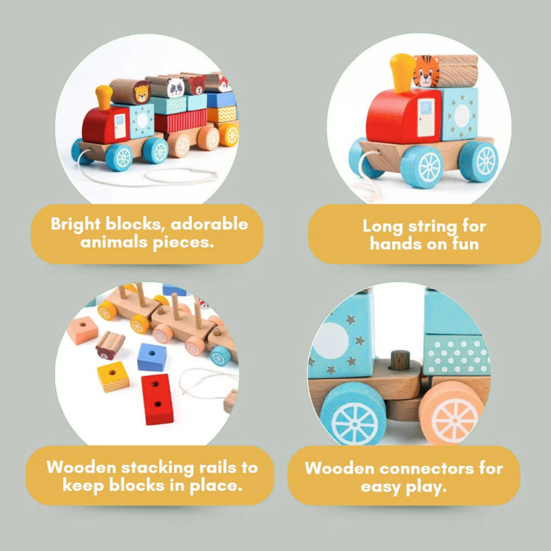 Wooden Animal Parade Train