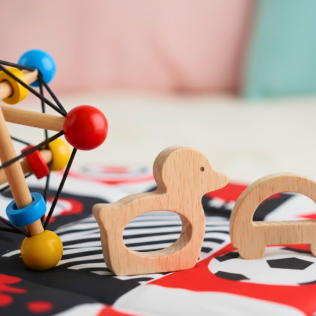 Young Mind PlayKit (0–6 Months)