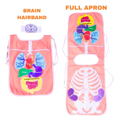 What's Inside My Body Apron Activity Pack