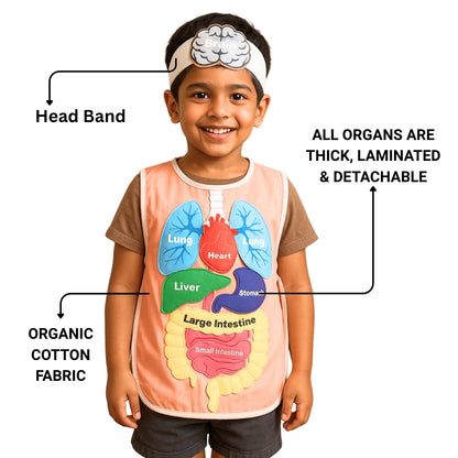 What's Inside My Body Apron Activity Pack