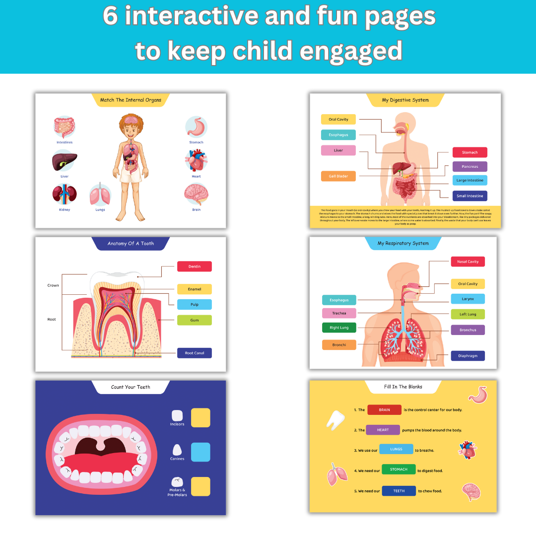 Human Body Interactive Binder Book for Kids above 6 years