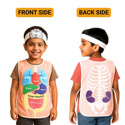 What's Inside My Body Apron Activity Pack