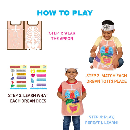 What's Inside My Body Apron Activity Pack