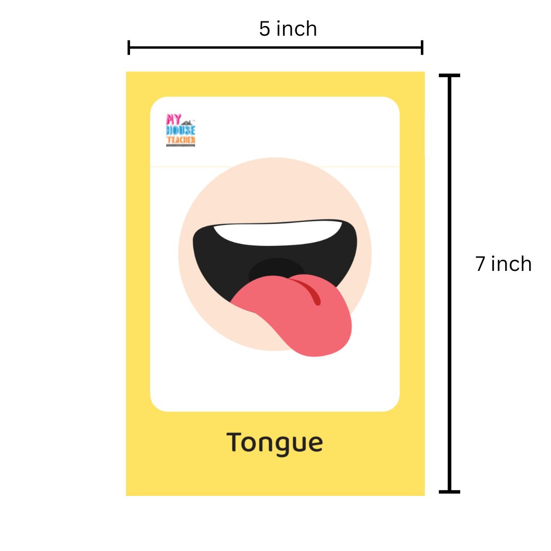 Body Part Flashcards