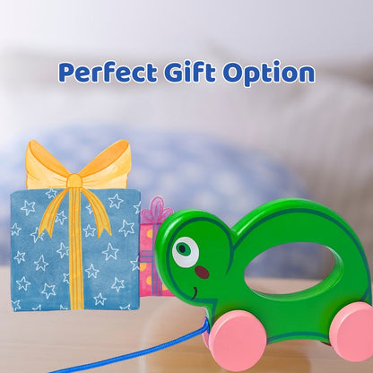 Wooden Push Pull Toy - Turtle