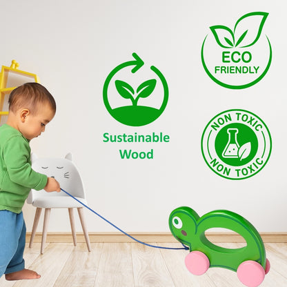 Wooden Push Pull Toy - Turtle