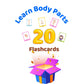Body Part Flashcards