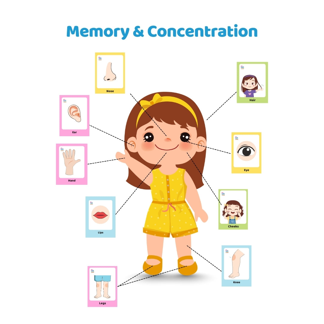 Body Part Flashcards