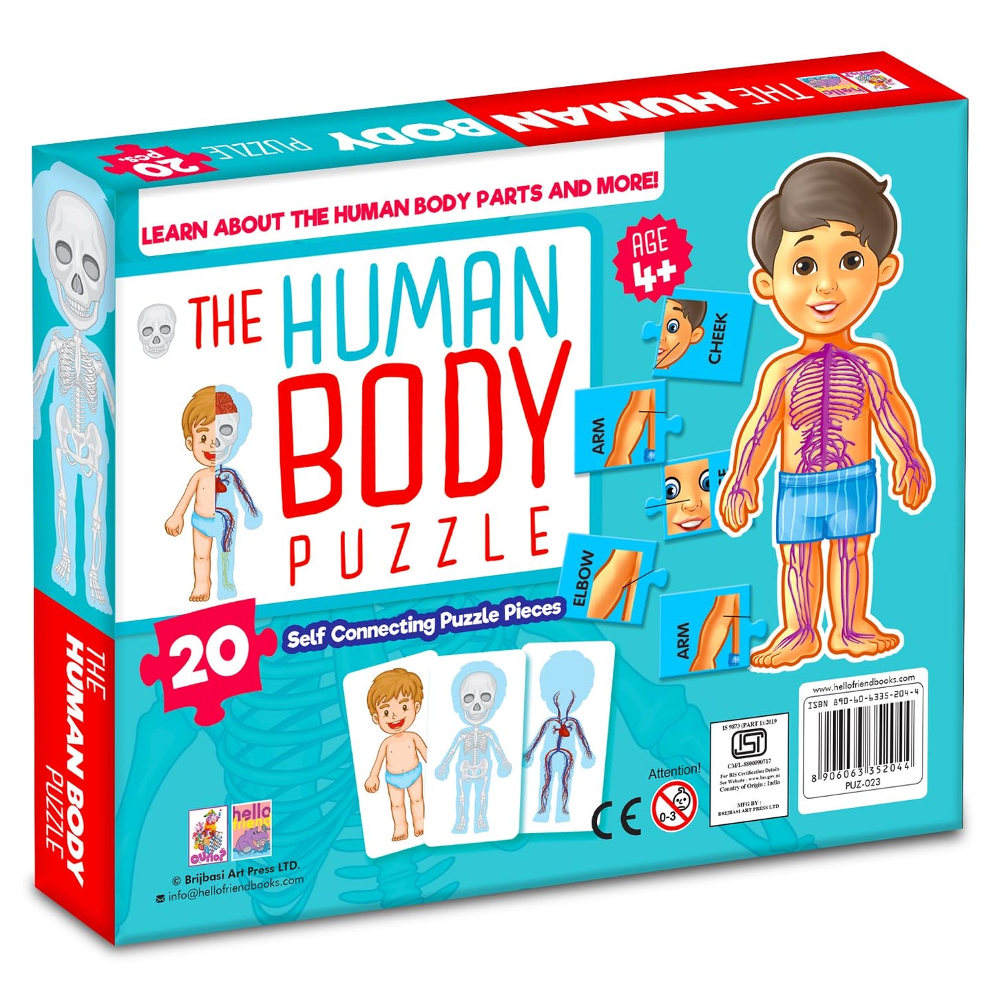 Human Body Jigsaw Puzzle