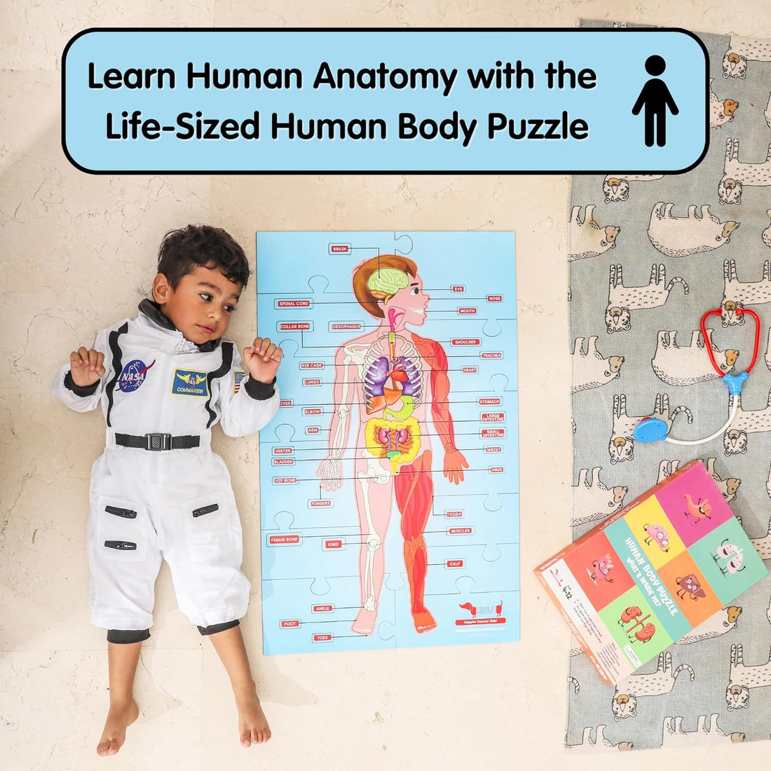 Human Body Parts Puzzle for Kids