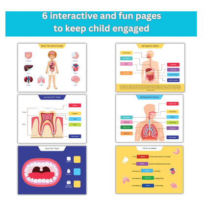 Human Body Activity Binder - 6 Years Above