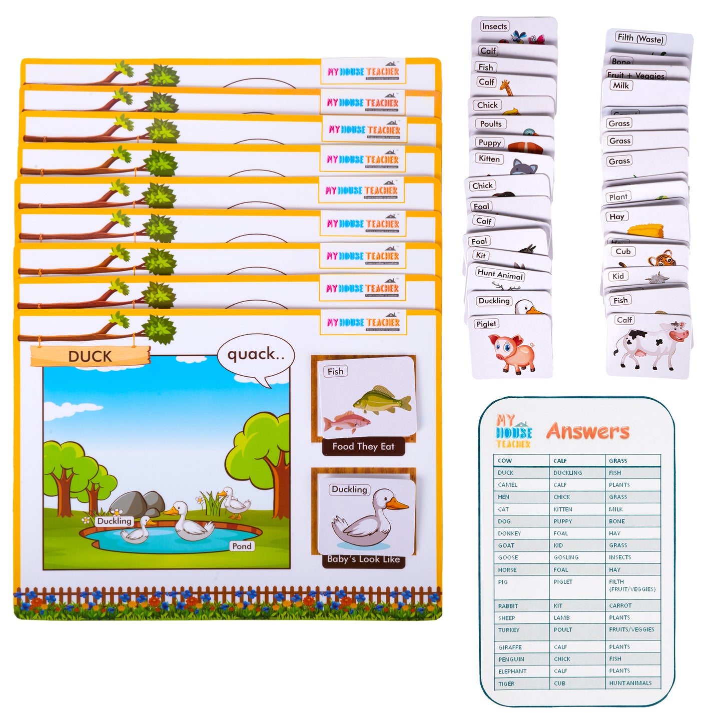 All About 18 Animals Non-Tearable Learning Pack for babies and toddlers