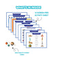 Knowledge Binder Book for 4 to 11 year kids
