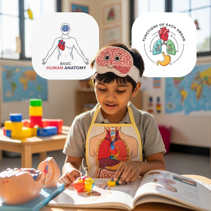 What's Inside My Body Apron Activity Pack