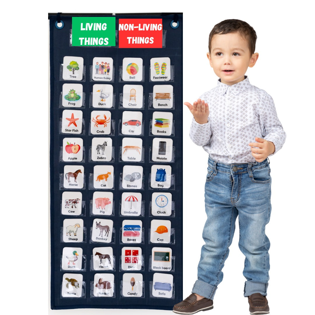 My House Teacher Living- Non Living Pocket Chart, Educational Toys For Kids Learning, Kids Activities Toys
