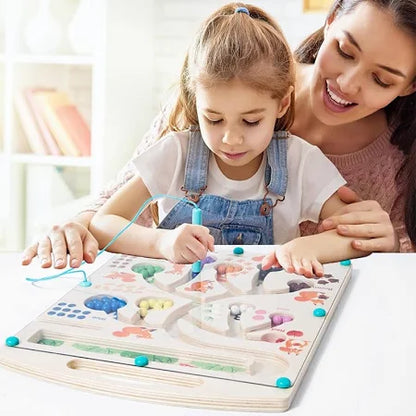 Wooden Educational Magnetic Squirrel Feeding Game, Colours & Numbers Learning Toy