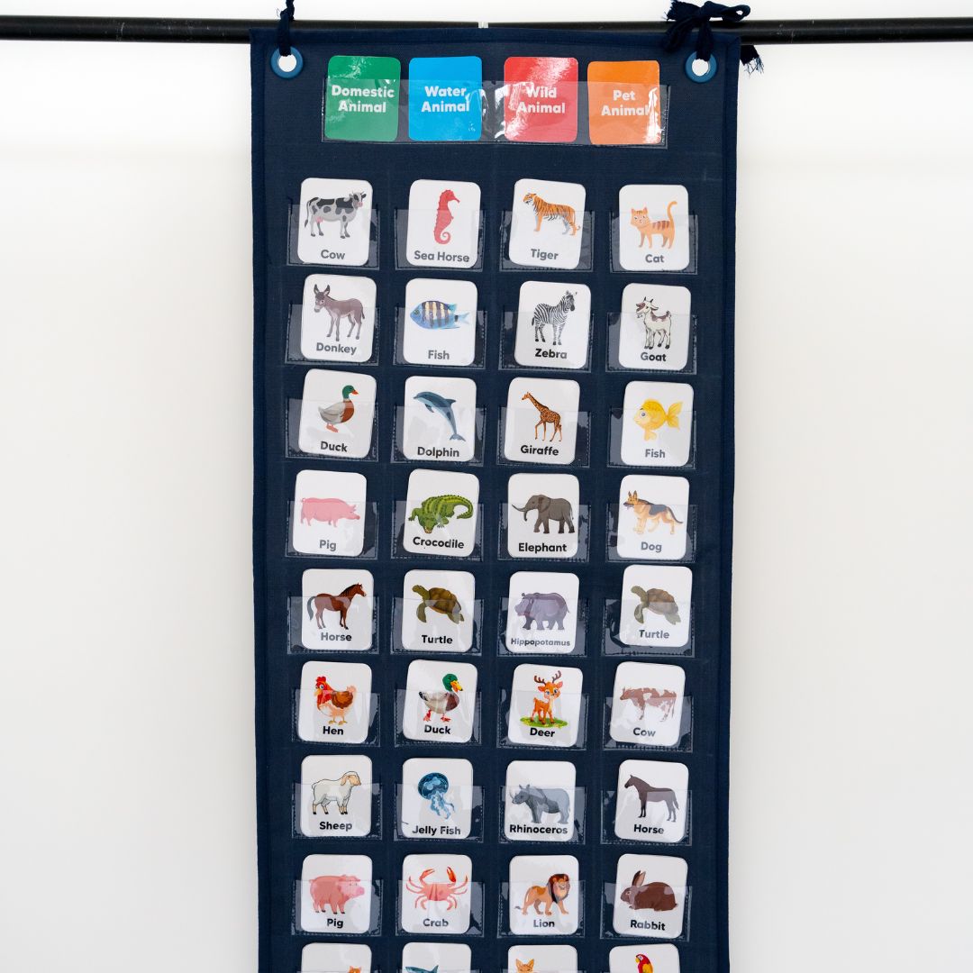 Domestic, Wild, Water and Pet Animal Sorting Pocket Chart