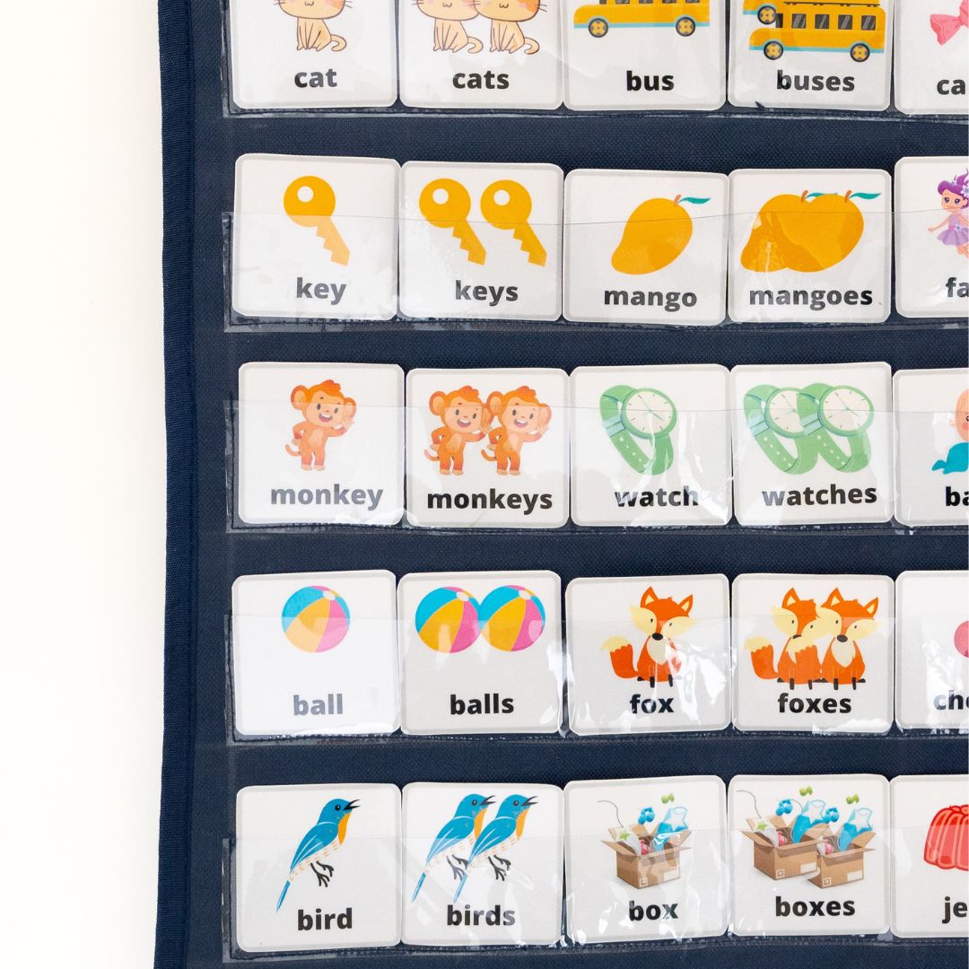 Singular Plural concept Pocket Chart (For Preschoolers )