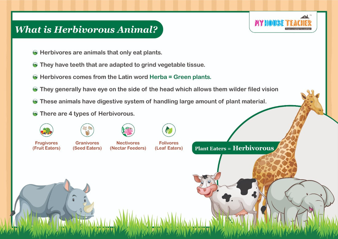 Animal Sorting Pack: Herbivores, Carnivores, Omnivores Concept pack