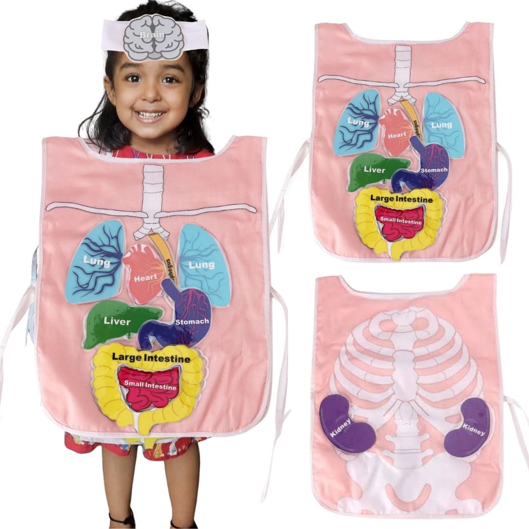 My House Teacher What's Inside My Body - Apron, Educational Toys For Kids Learning, Kids Activities Toys