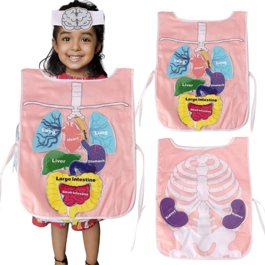 What's Inside My Body Apron Activity Pack