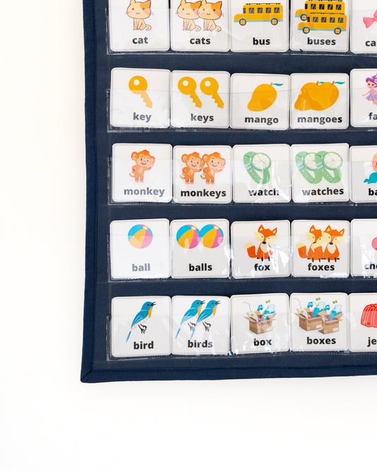 Singular plural cards set for Language Pocket Chart