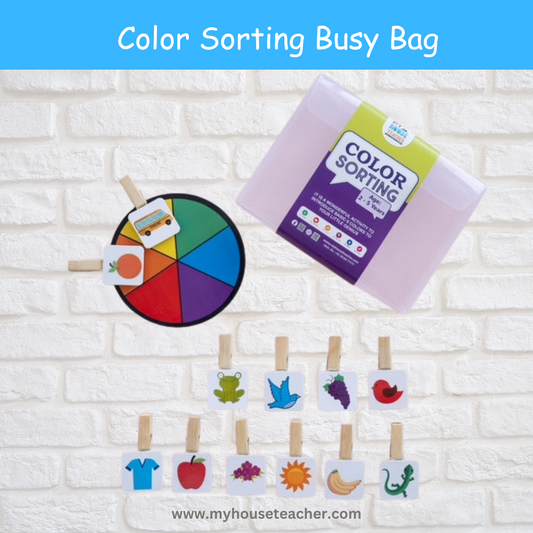 My House Teacher Color Sorting Toddler Busy Bag For Babies And Toddlers, Educational Toys For Kids Learning, Kids Activities Toys
