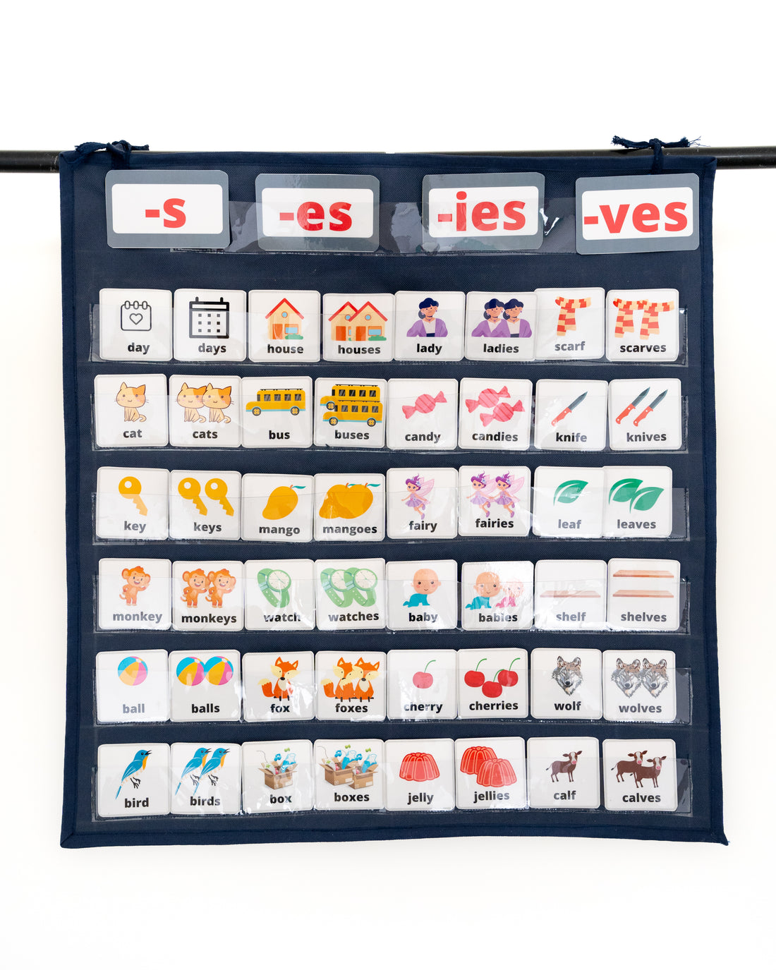 Singular plural cards set for Language Pocket Chart
